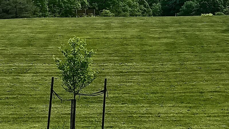 Deer Lakes Park - Tarentum, PA