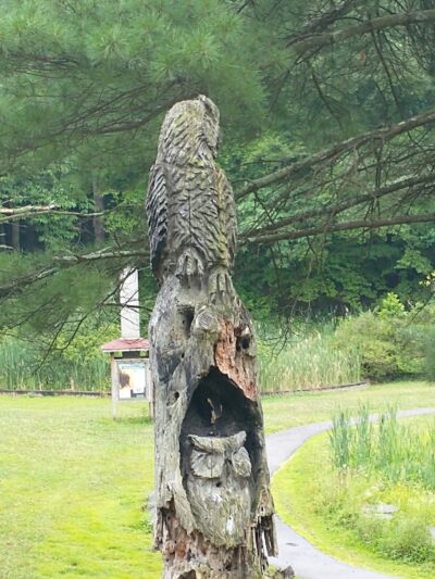 Deer Lakes Park - Tarentum, PA