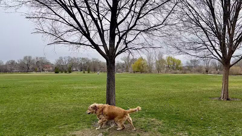 Millrace Off-Leash Dog Park - Taylorsville, UT