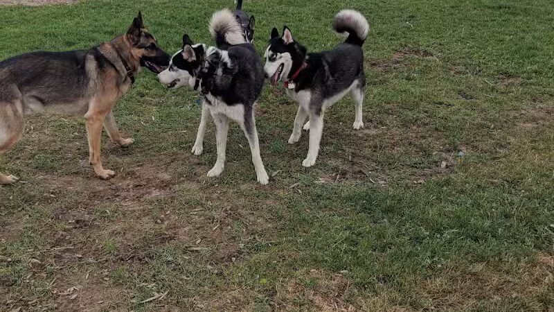 Millrace Off-Leash Dog Park - Taylorsville, UT