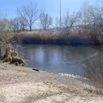 Millrace Off-Leash Dog Park - Taylorsville, UT