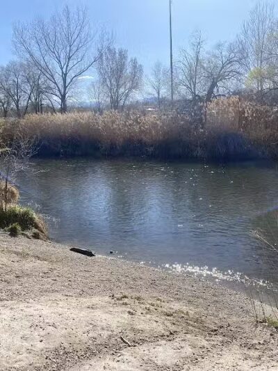 Millrace Off-Leash Dog Park - Taylorsville, UT