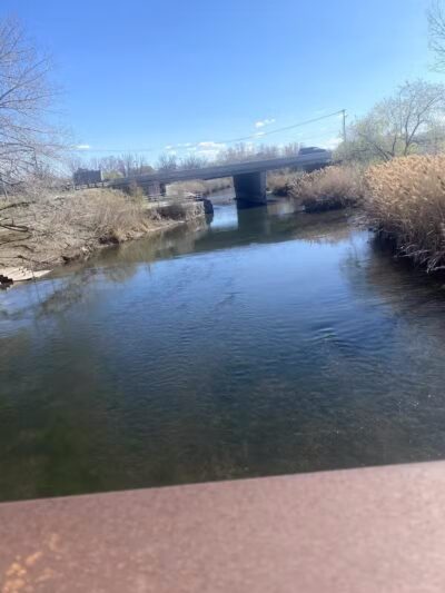 Millrace Off-Leash Dog Park - Taylorsville, UT