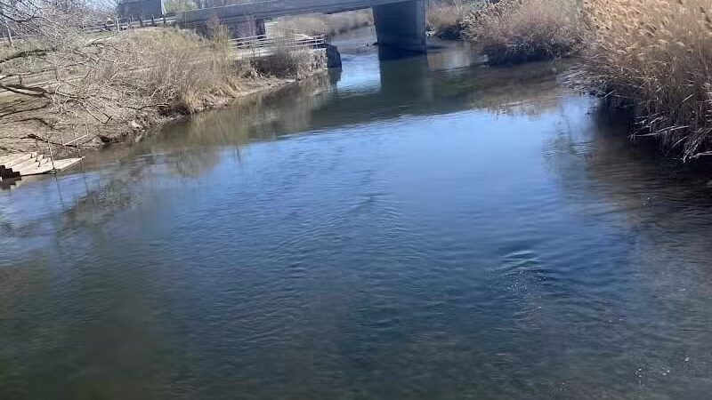 Millrace Off-Leash Dog Park - Taylorsville, UT