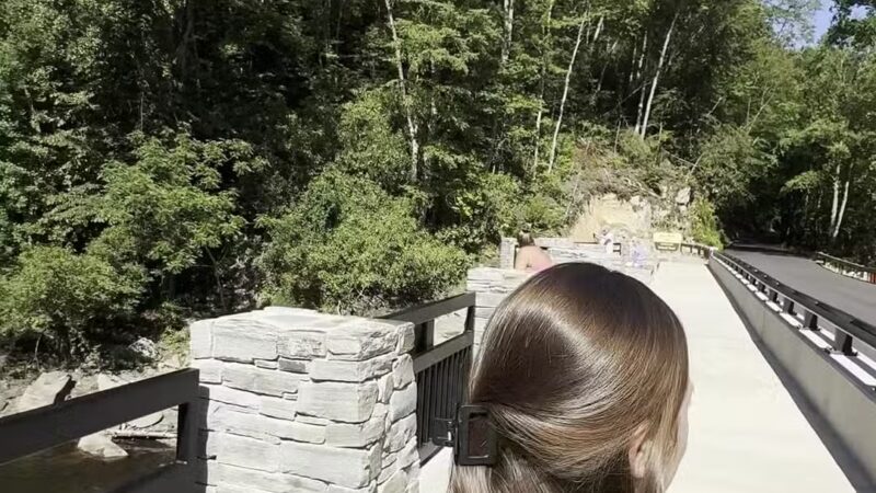 Bald River Falls - Tellico Plains, TN