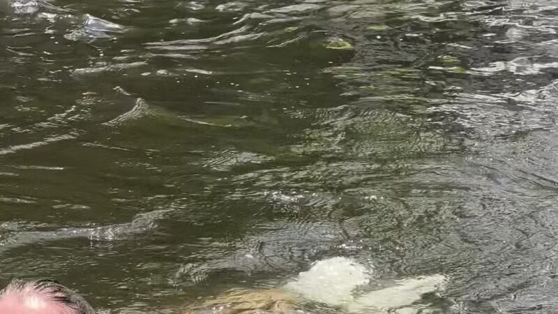 Bald River Falls - Tellico Plains, TN