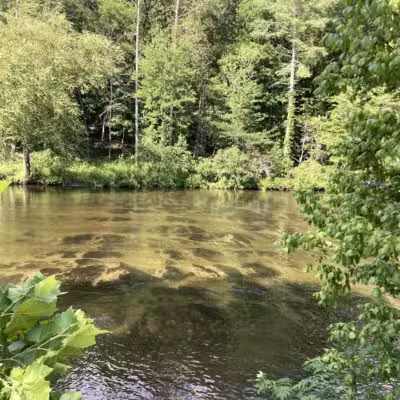 Tellico Beach Drive In - Tellico Plains, TN