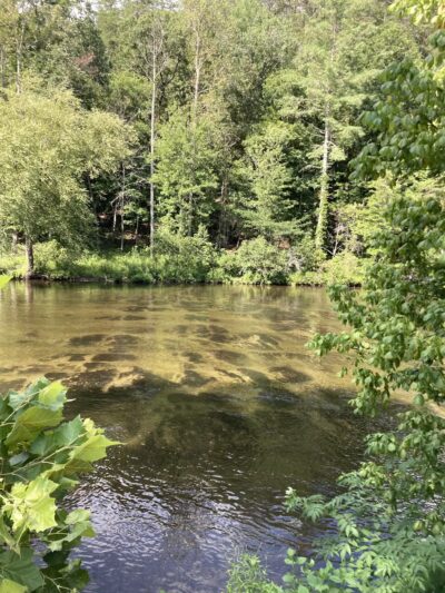 Tellico Beach Drive In - Tellico Plains, TN