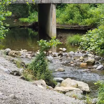 Tellico Beach Drive In - Tellico Plains, TN