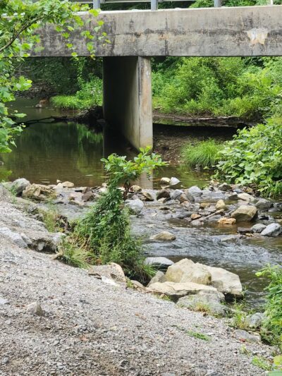 Tellico Beach Drive In - Tellico Plains, TN