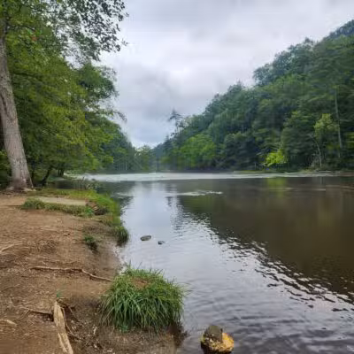 Tellico Beach Drive In - Tellico Plains, TN