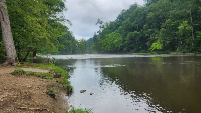 Tellico Beach Drive In - Tellico Plains, TN