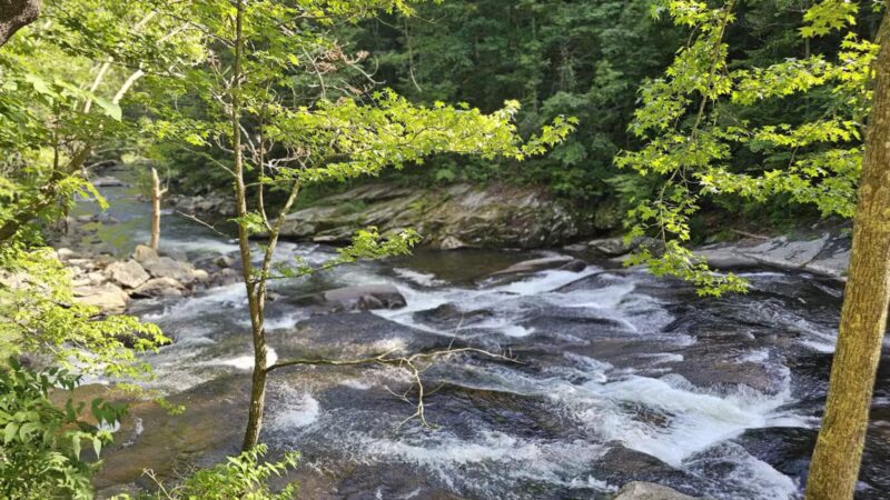 Tellico Beach Drive In - Tellico Plains, TN