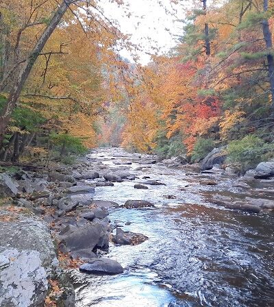 Bald River Falls - Tellico Plains, TN