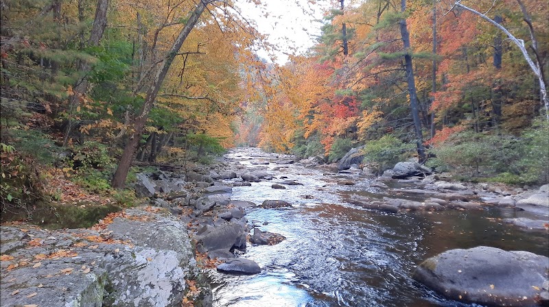 Bald River Falls - Tellico Plains, TN