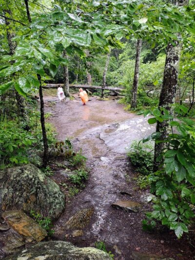 Bald River Falls - Tellico Plains, TN