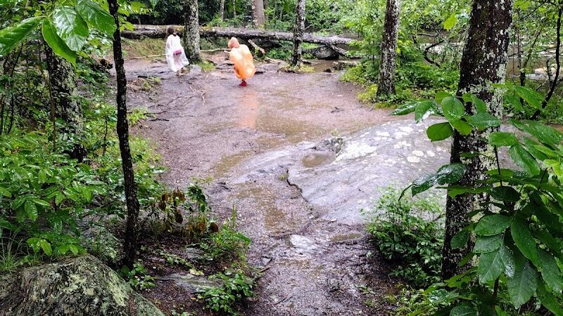 Bald River Falls - Tellico Plains, TN