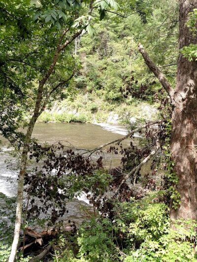 Bald River Falls - Tellico Plains, TN