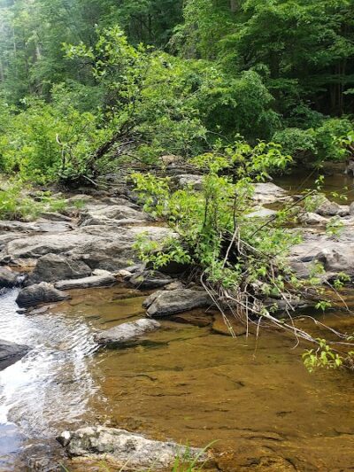 Conasauga Falls Trail - Tellico Plains, TN