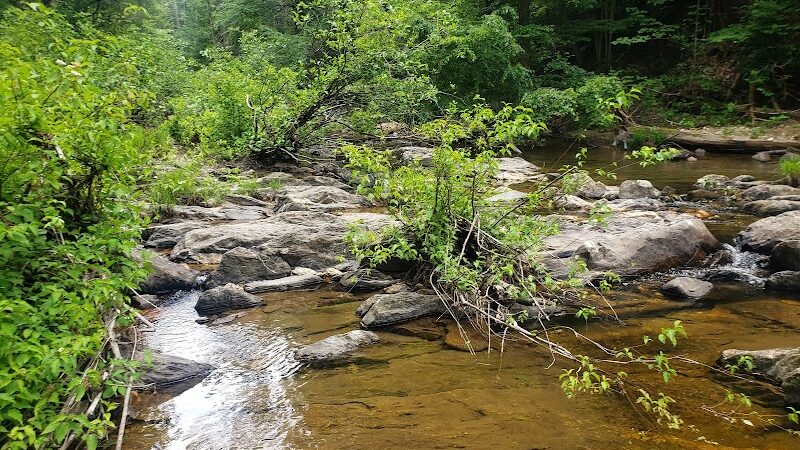 Conasauga Falls Trail - Tellico Plains, TN