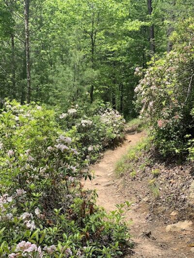 Conasauga Falls Trail - Tellico Plains, TN