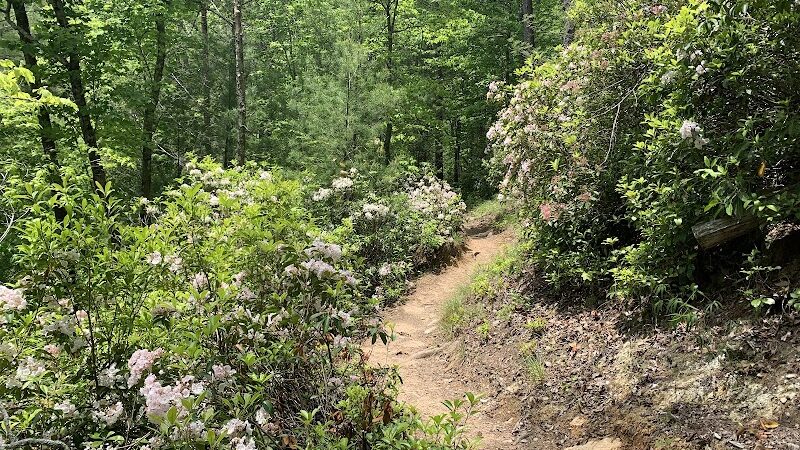 Conasauga Falls Trail - Tellico Plains, TN
