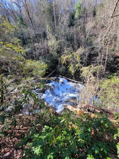 Conasauga Falls Trail - Tellico Plains, TN