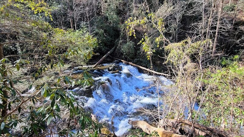 Conasauga Falls Trail - Tellico Plains, TN