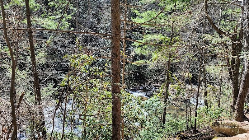 Conasauga Falls Trail - Tellico Plains, TN