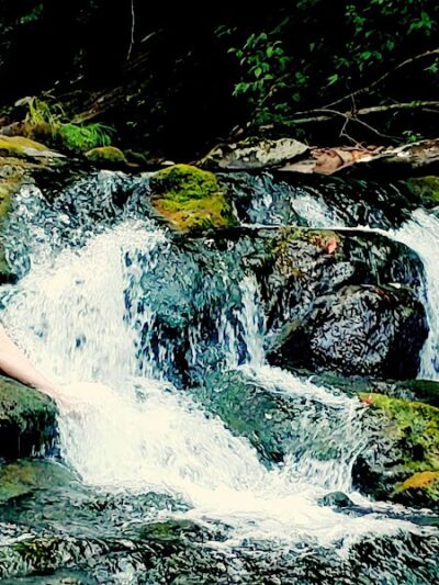 Conasauga Falls Trail - Tellico Plains, TN