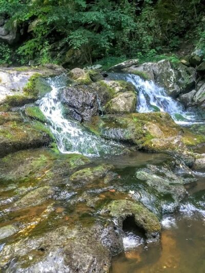 Conasauga Falls Trail - Tellico Plains, TN