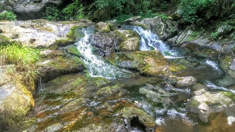 Conasauga Falls Trail - Tellico Plains, TN