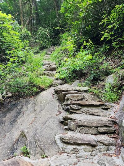 Conasauga Falls Trail - Tellico Plains, TN