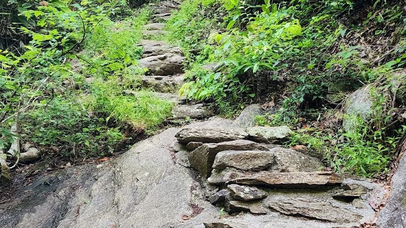Conasauga Falls Trail - Tellico Plains, TN