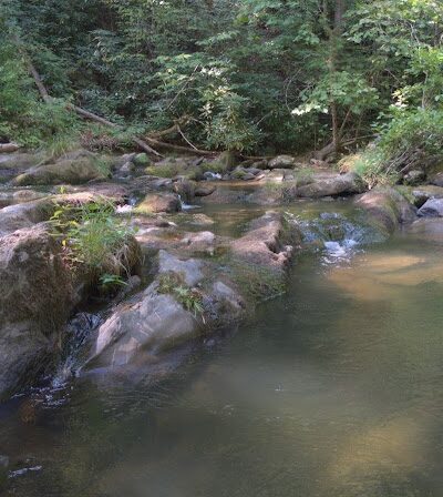 Conasauga Falls Trail - Tellico Plains, TN