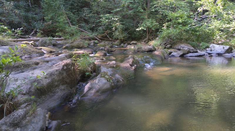 Conasauga Falls Trail - Tellico Plains, TN