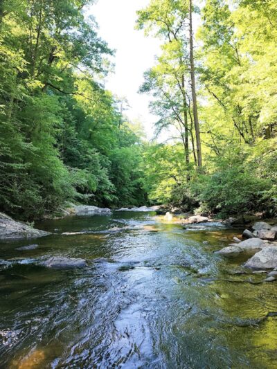Conasauga Falls Trailhead Parking - Tellico Plains, TN