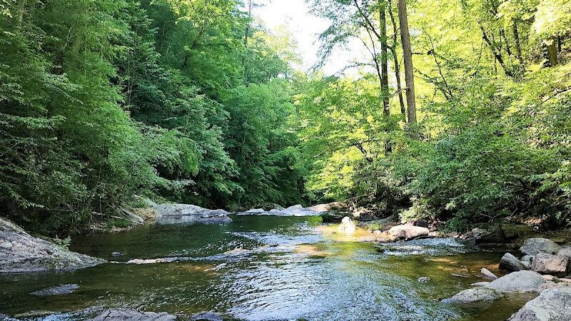Conasauga Falls Trailhead Parking - Tellico Plains, TN