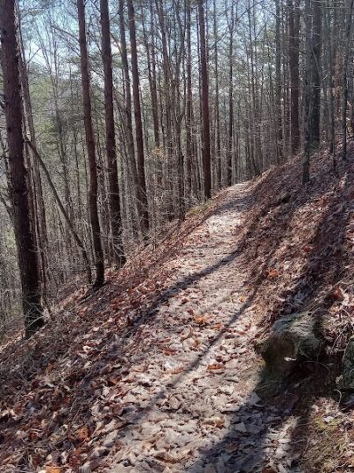 Conasauga Falls Trailhead Parking - Tellico Plains, TN
