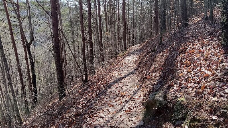 Conasauga Falls Trailhead Parking - Tellico Plains, TN