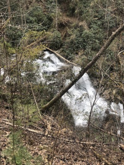 Conasauga Falls Trailhead Parking - Tellico Plains, TN