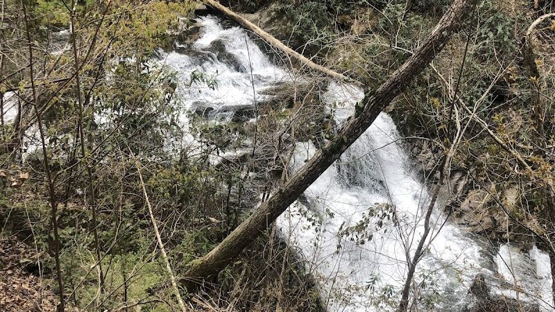 Conasauga Falls Trailhead Parking - Tellico Plains, TN