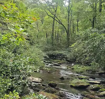 Conasauga Falls Trailhead Parking - Tellico Plains, TN