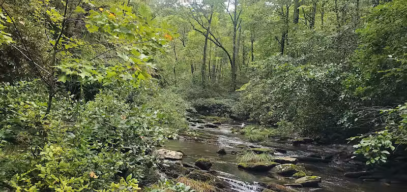 Conasauga Falls Trailhead Parking - Tellico Plains, TN