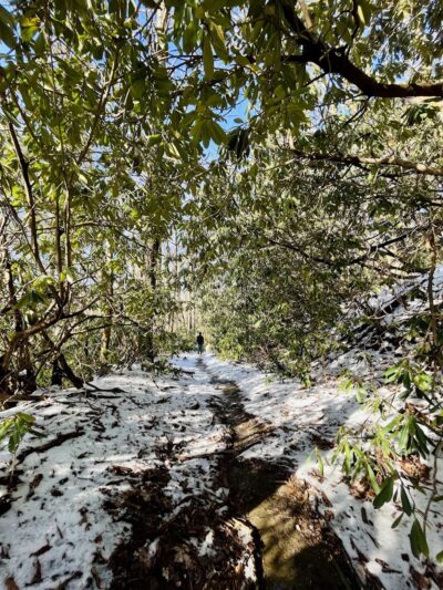 Falls Branch Trail - Tellico Plains, TN