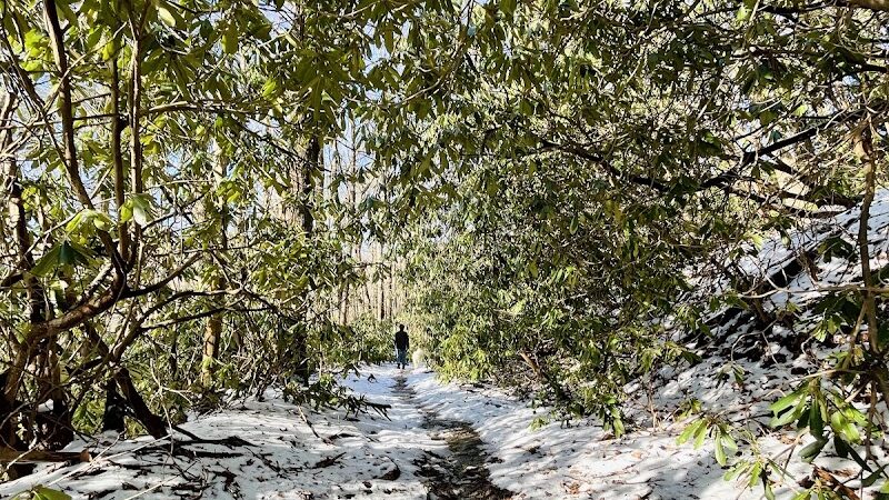 Falls Branch Trail - Tellico Plains, TN