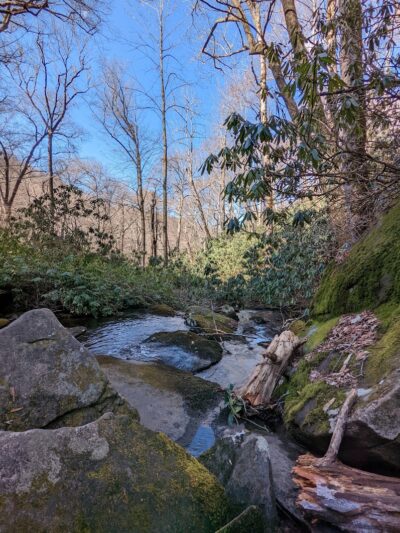 Falls Branch Trail - Tellico Plains, TN