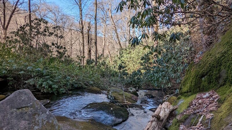 Falls Branch Trail - Tellico Plains, TN