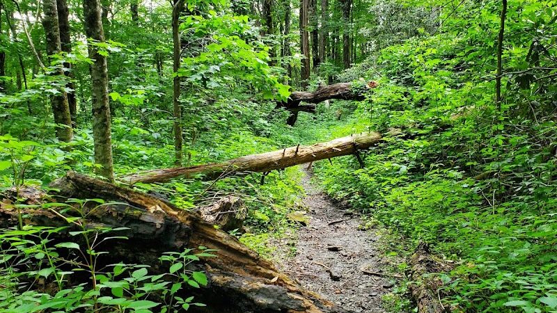 Falls Branch Trail - Tellico Plains, TN