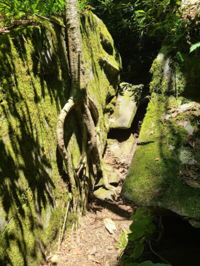 Falls Branch Trail - Tellico Plains, TN